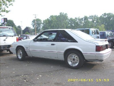 lot  cars 001.jpg