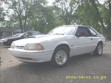 lot  cars 002.jpg
