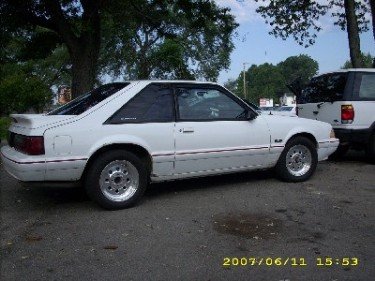 lot  cars 003.jpg