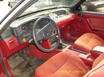 lot  cars 005.jpg