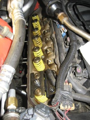 Valve Springs4_02Sep07.jpg