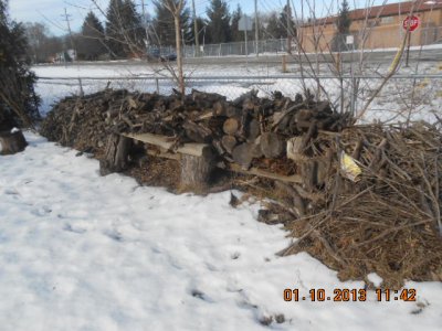 DSCN3114.JPG