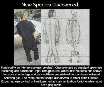 New Species Discovered.jpg