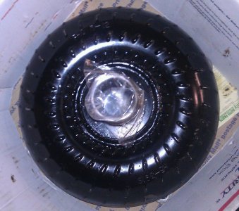 IMAG0378-1.jpg