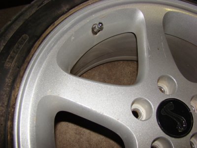 wheels3.jpg