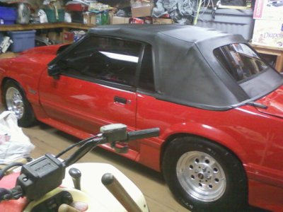 a 91 gt shine.jpg