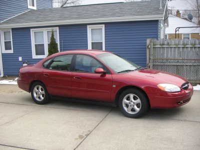 Taurus 002.JPG