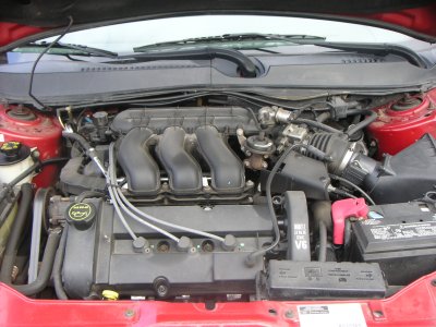 Taurus 003.JPG