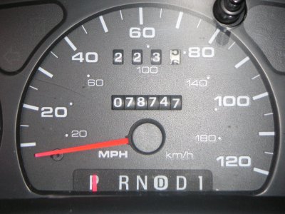 Taurus 005.JPG