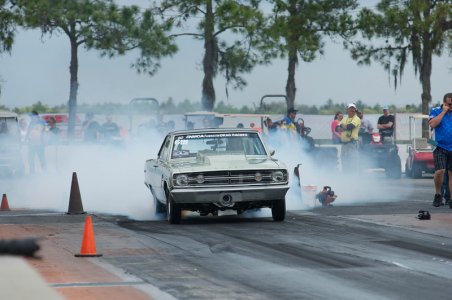 DSC_2114-L.jpg