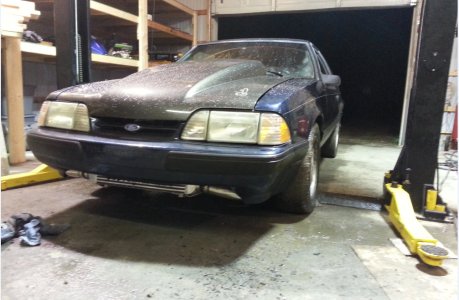 mustang 1.jpg