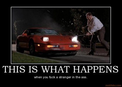 this-is-what-happens-lebowski-walter-stranger-ass-car-dude-demotivational-poster-1218667280.jpg