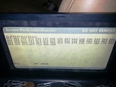 20130401_174849 - Copy.jpg