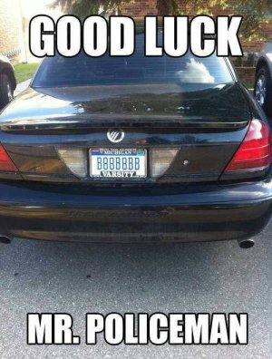daily_morning_awesomeness_40_photos20.jpg