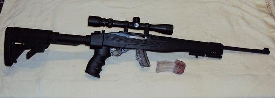 Ruger 10 22 1.JPG