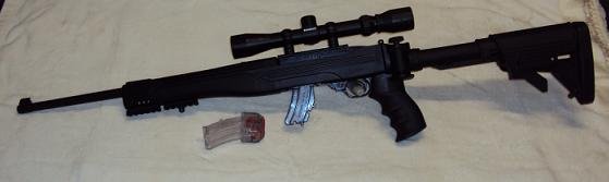 Ruger 10 22 2.JPG