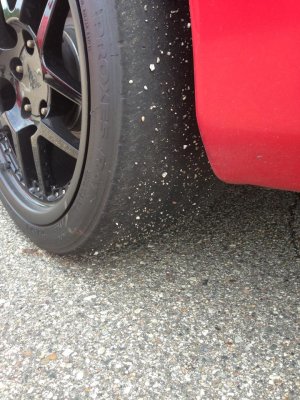 419173_10151387787501082_1667865644_n.jpg 419173_10151387787501082_1667865644_n.jpg