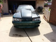 mustang3.jpg