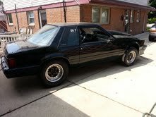mustang4.jpg