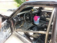 mustang 6.jpg