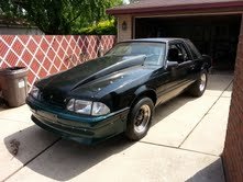 mustang 8.jpg