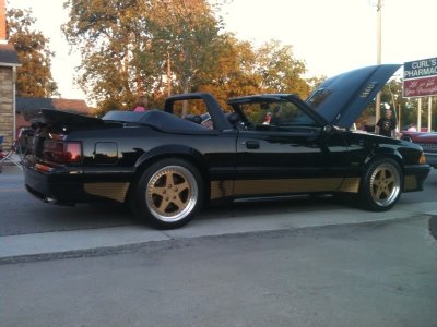 Saleen3pieceSterns2.jpg