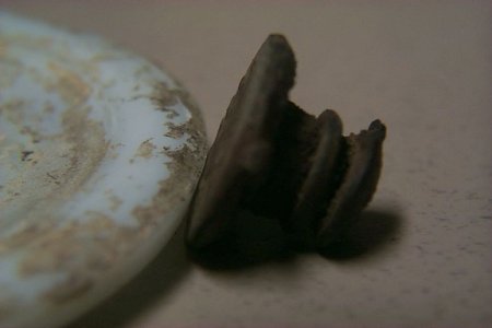 pin3.JPG