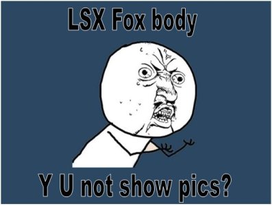 yu pics.JPG