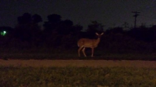 20130827_005506_LLS.jpg