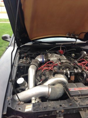 image4.jpeg