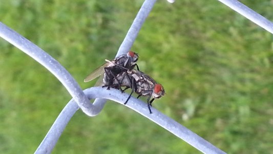 20130808_185656.jpg