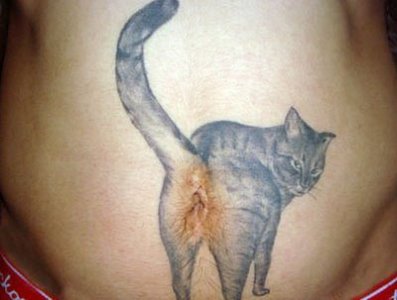 badcattatworst.jpg