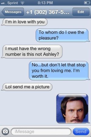 funny-text-Ron-Burgundy-picture1.jpg