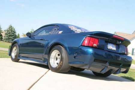 saleen 2.jpg