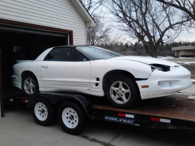 99firebirdgtwhitecharcoalcar (2).jpg