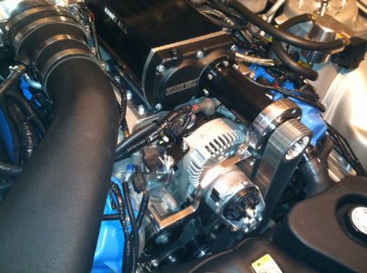 IMG_9546_zps4508e0e9.jpg