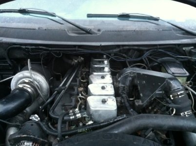 IMG_1781_zps4e28bb8f.jpg