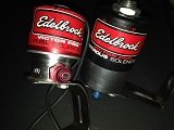 celonoids 1.JPG