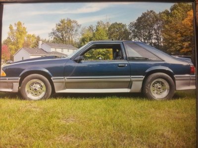 bluemustang.jpg
