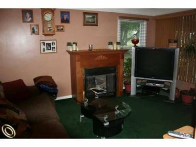 fireplace.jpg