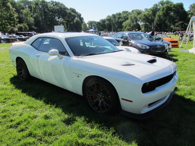HELLCAT 3-4.jpg