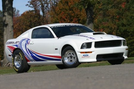 stang.jpg