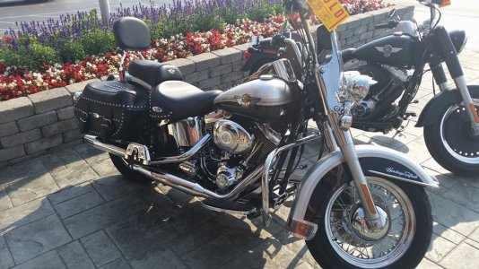 softail.jpg