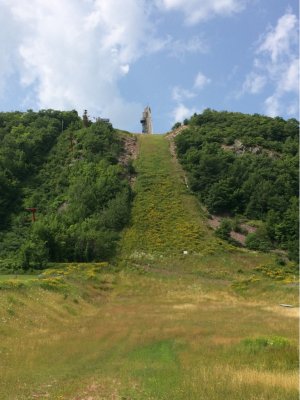 ImageUploadedByTapatalk1407031991.236928.jpg