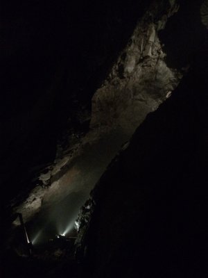 ImageUploadedByTapatalk1407123162.026315.jpg