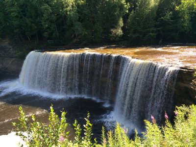 ImageUploadedByTapatalk1407196441.423299.jpg