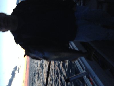 IMG_2378.JPG