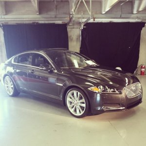 XF Sport.jpg