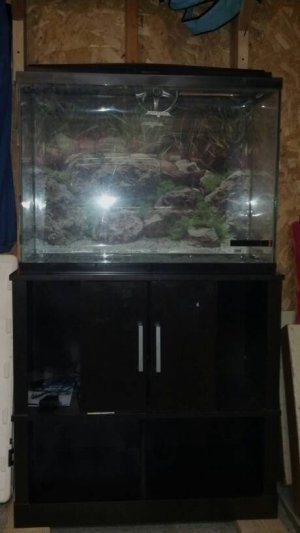 uploadfromtaptalk1409848076529.jpg