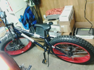 bike.jpg